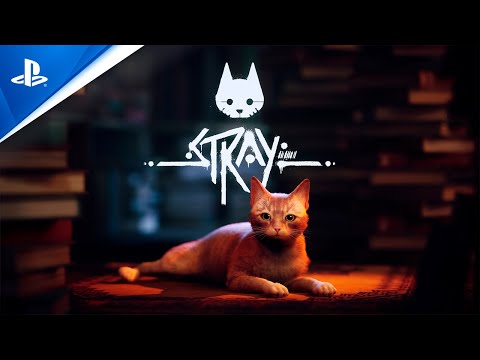 Stray PS4
